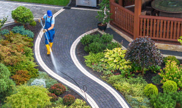 Best House Pressure Washing  in USA